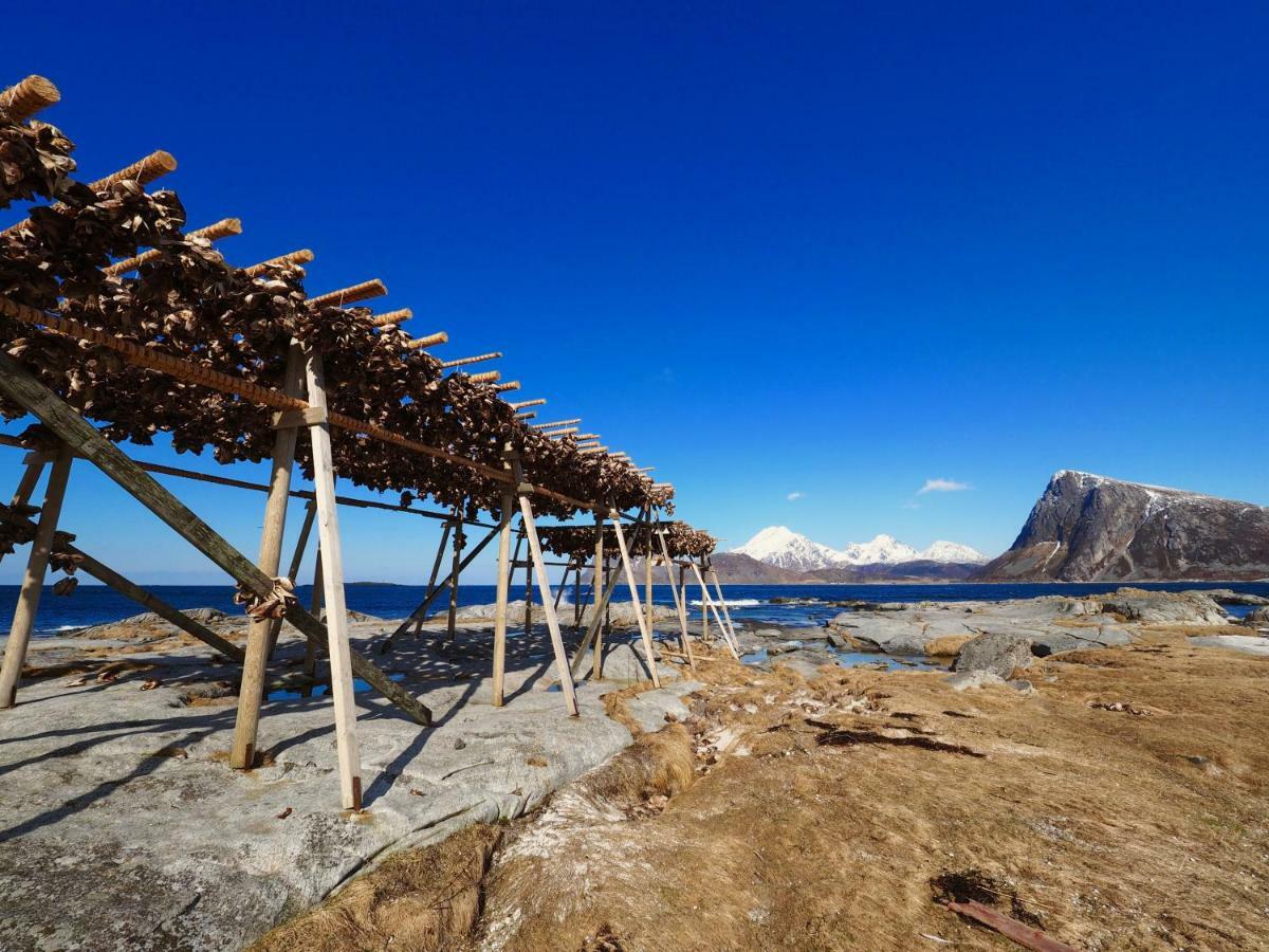 Midnight Sun View Lofoten Leknes Buitenkant foto